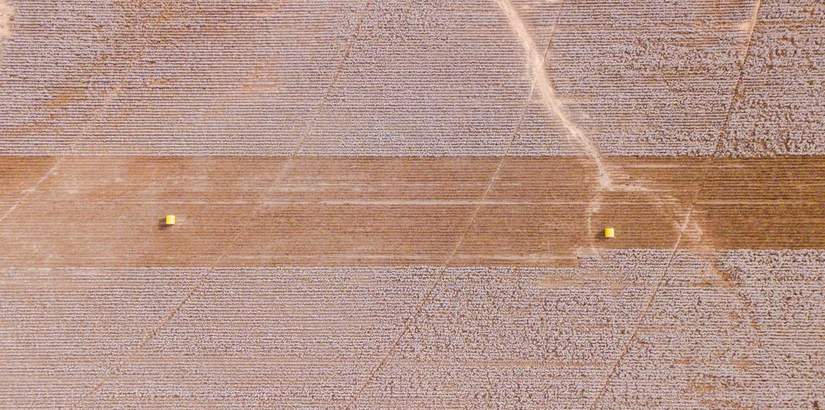 Le secteur de l'agroalimentaire en Afrique 