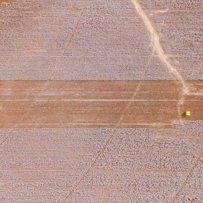 Le secteur de l'agroalimentaire en Afrique 